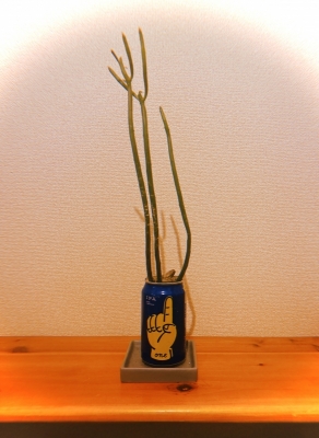 MOCHI（ﾓﾁ） ひとつの愛を。