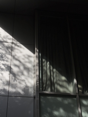 MASH(ﾏｯｼｭ) 光と影。