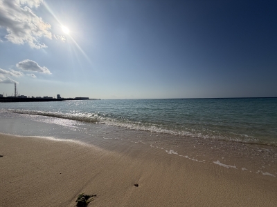 SHION(ｼｵﾝ) 。