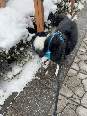 ATSUMU（ｱﾂﾑ） 絶対にやらないこと①