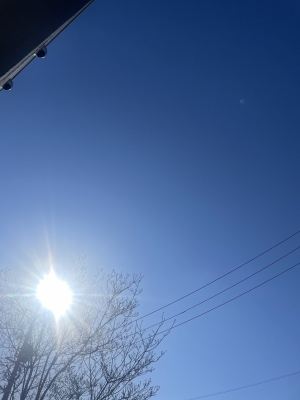 HARUMA(ﾊﾙﾏ) 3.11