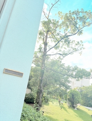 George(ジョージ) 今日もいい天気☀️