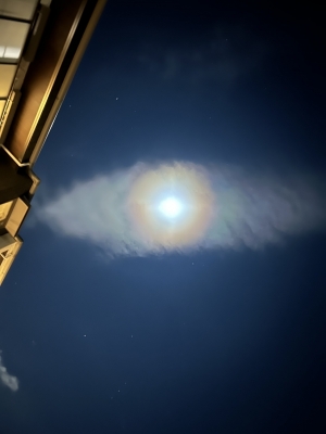 UTA(ｳﾀ) 月見ると狼になる、というと思った？