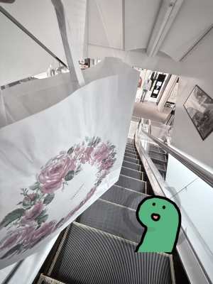 SEI(ｾｲ) 【入手した日】