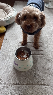 ASUMURA(ｱｽﾑﾗ) ぎりぎり！セラピスト１４日目