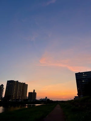 HARUMI(ﾊﾙﾐ) 夕方