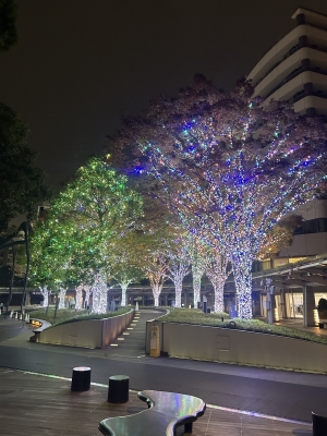 KONOSUKE(ｺｳﾉｽｹ) イルミネーション、始まってた 冬だね