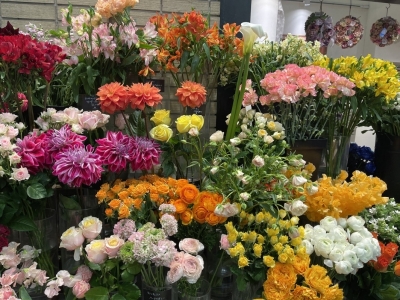 MINORI(ﾐﾉﾘ) お花は目を潤す