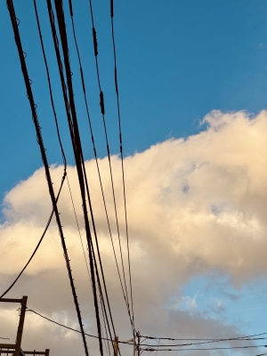 KOYOMI(コヨミ) 【たまには上を】