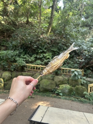 KONOSUKE(ｺｳﾉｽｹ) 鮎の塩焼き