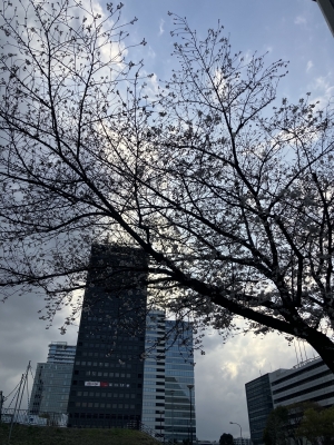 KEISUKE(ｹｲｽｹ) あなたの一番近い場所で。✨