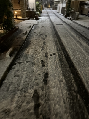 ICHIGO(ｲﾁｺﾞ) 雪