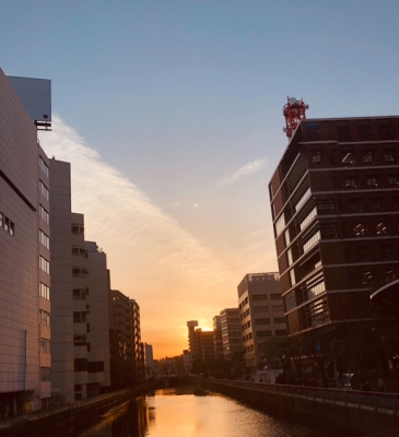 MAIRO（ﾏｲﾛ) 愛すべき横浜