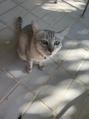 MOCHI（ﾓﾁ） 宝物。