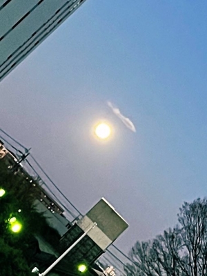 NINA(ニイナ) 上を向いて歩こう