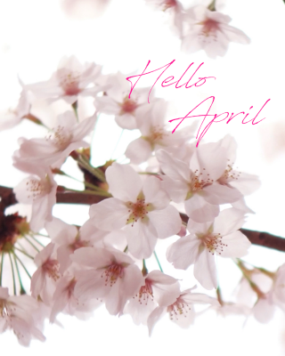 YUZUHI(ﾕｽﾞﾋ) Hello April♪