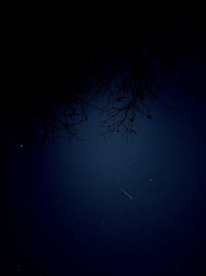 SHION(シオン) 星空