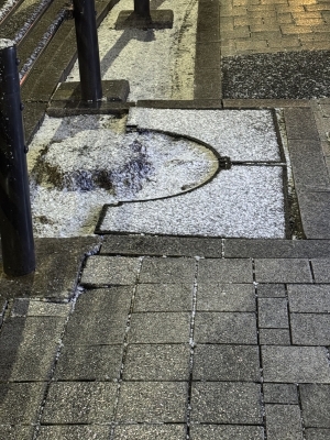 FUYU(ﾌﾕ) でっちあげ