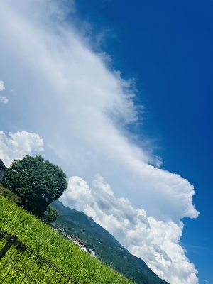 MOTO(ﾓﾄ) 夏の想い出