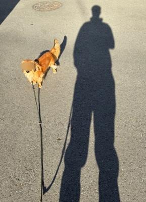 JAN(ｼﾞｬﾝ) ルーティン