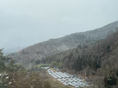 SHION(シオン) ただいま