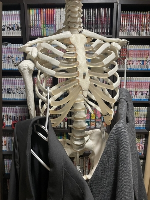 TATSUYA(タツヤ) 人体模型の有効活用