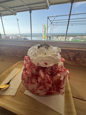 SOTA(ｿｳﾀ) 夏