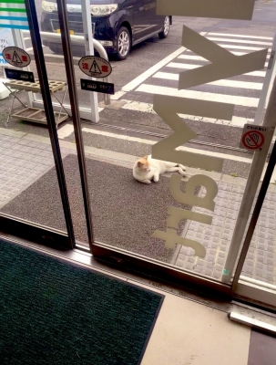 RITSU(ﾘﾂ) 写真から伝えたいこと