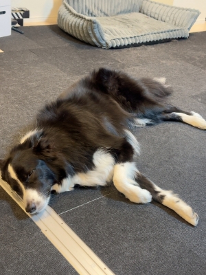 ATSUMU（ｱﾂﾑ） スヤぁ