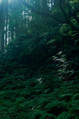 KANNA(ｶﾝﾅ) 感情と距離