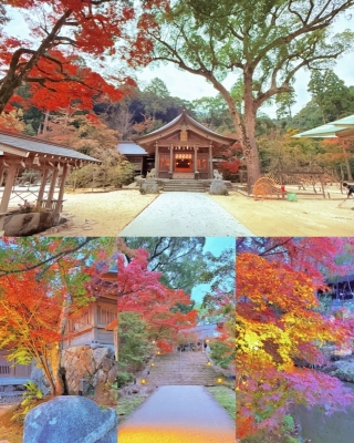 KENJI(ｹﾝｼﾞ) 3連休🍁