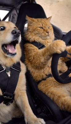 KENTO (ｹﾝﾄ) 😎