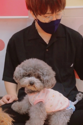 ZION(ｼｵﾝ) 癒されすぎて犬汁垂れ流し♡