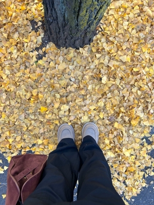 KONOSUKE(ｺｳﾉｽｹ) 今日最低気温3℃だって 冬が始まるね