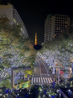 KONOSUKE(ｺｳﾉｽｹ) イルミネーション キレーデションどこでしょん