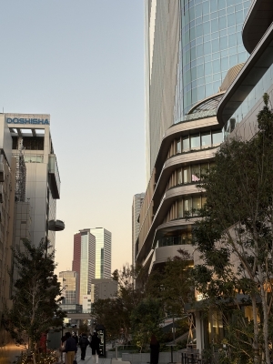 MASH(ﾏｯｼｭ) 日が沈むころ