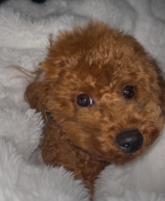 NANO(ﾅﾉ) モーニングルーティーン