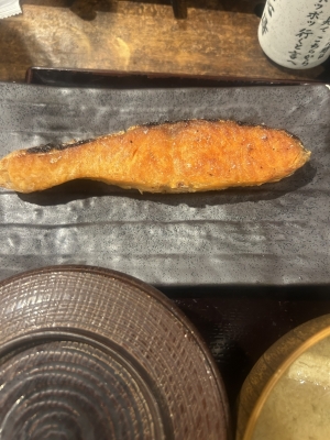KONOSUKE(ｺｳﾉｽｹ) サーモン くーもん