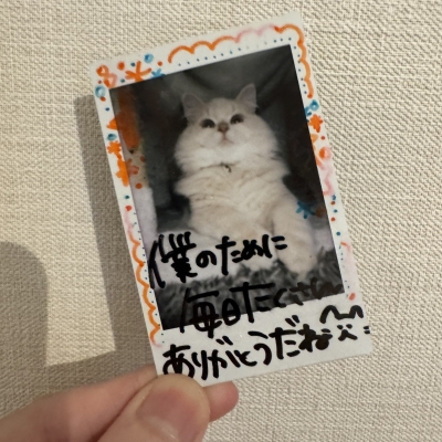 YORU(ﾖﾙ) 改めて、ありがとうございました！