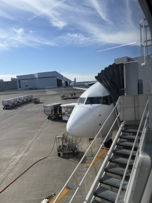 ARASHI(ｱﾗｼ) 【大分✈️】