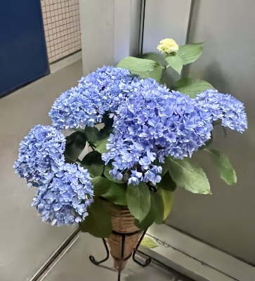 RINKO(ﾘﾝｺ) 気持ち新たに