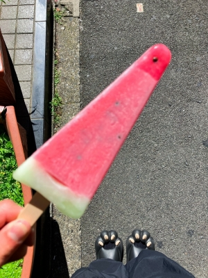 TOSHI(ﾄｳｼ) 早めにろぐいんっ！