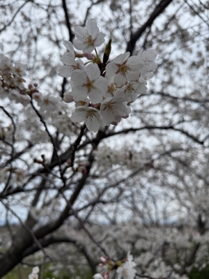 RUI(ﾙｲ) じっくりと🫣