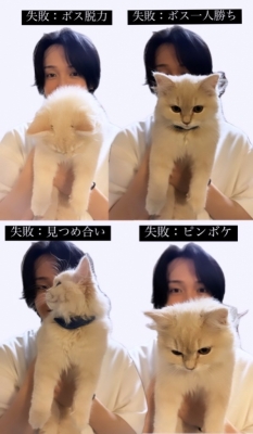 BOSS(ﾎﾞｽ) (^ට ‧̫ ට^)੭