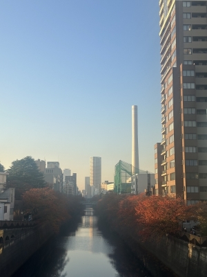 GAKU(ｶﾞｸ) スケジュール🗓️