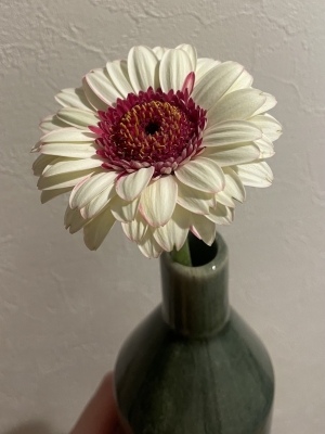 RITSU(ﾘﾂ) 希望,前向き,常に前進