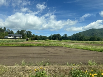 TAKAHARU(タカハル) 皆様