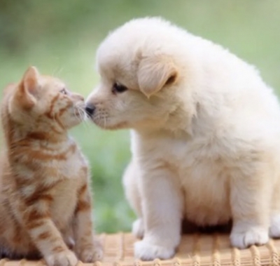 TAIYO(ﾀｲﾖｳ) ⭐️明日の花金⭐️18:00-23:30でいます！！！