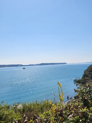 TOM(ﾄﾑ) 良い旅行でした✨