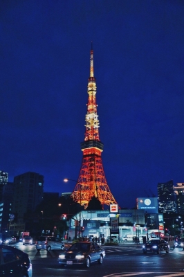 SEIICHIRO(ｾｲｲﾁﾛｳ) "東京タワー"